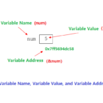 What is the Difference Between printf() and scanf() ?