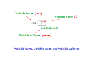 C Input Function : scanf()