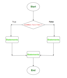 The Branch Statements in C Programming