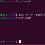 cat Command in Linux