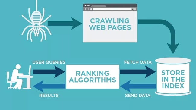 A search engine's web crawler